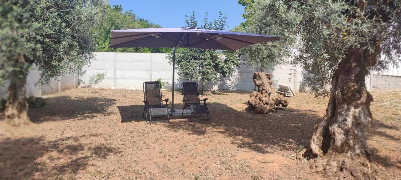 Casa Sophie - Alojamento,Dormitorio,Casa De Ferias อันเซียว ภายนอก รูปภาพ